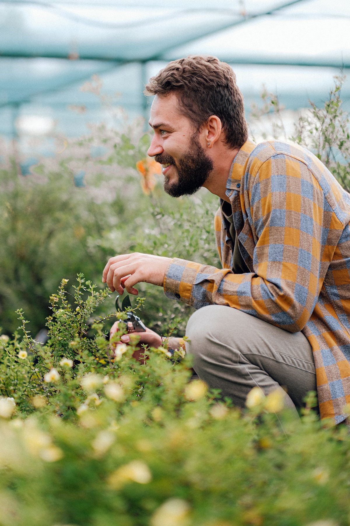 Garden planting ideas for a practical project guide